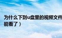 为什么下到u盘里的视频文件不显示（视频文件放到u盘后不能看了）