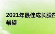 2021年最佳成长股在经济增长的阵痛中寄予希望