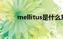 mellitus是什么意思（mellitus）