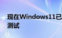 现在Windows11已经发布 正在和内部人士测试