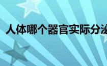 人体哪个器官实际分泌胆汁a .肝脏b .胆囊？