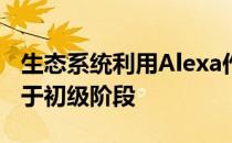 生态系统利用Alexa作为赚钱工具的潜力仍处于初级阶段