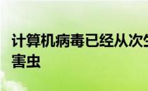 计算机病毒已经从次生危害进化成代价高昂的害虫