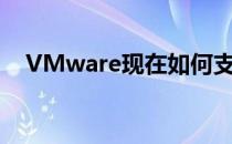 VMware现在如何支持微服务容器开发？