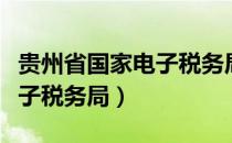 贵州省国家电子税务局网上申报（贵州网上电子税务局）