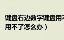 键盘右边数字键盘用不了（键盘右边的数字键用不了怎么办）