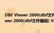 DBF Viewer 2000(dbf文件编辑) V6.0 免费版（DBF Viewer 2000(dbf文件编辑) V6.0 免费版怎么用）