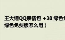 王大锤QQ表情包 +38 绿色免费版（王大锤QQ表情包 +38 绿色免费版怎么用）