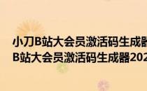 小刀B站大会员激活码生成器2020 V1.0 绿色免费版（小刀B站大会员激活码生成器2020 V1.0 绿色免费版怎么用）