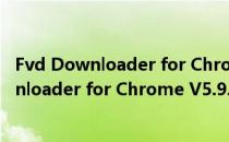 Fvd Downloader for Chrome V5.9.5 免费版（Fvd Downloader for Chrome V5.9.5 免费版怎么用）