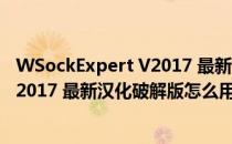 WSockExpert V2017 最新汉化破解版（WSockExpert V2017 最新汉化破解版怎么用）