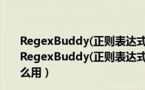 RegexBuddy(正则表达式测试工具) V4.4.1 官方最新版（RegexBuddy(正则表达式测试工具) V4.4.1 官方最新版怎么用）