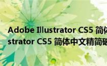 Adobe Illustrator CS5 简体中文精简破解版（Adobe Illustrator CS5 简体中文精简破解版怎么用）