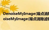 DenoiseMyImage(噪点消除滤镜插件) V3.0 特别版（DenoiseMyImage(噪点消除滤镜插件) V3.0 特别版怎么用）