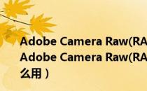 Adobe Camera Raw(RAW处理插件) V9.8 中文免费版（Adobe Camera Raw(RAW处理插件) V9.8 中文免费版怎么用）