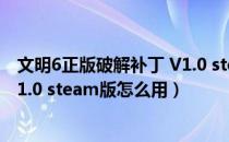 文明6正版破解补丁 V1.0 steam版（文明6正版破解补丁 V1.0 steam版怎么用）