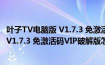 叶子TV电脑版 V1.7.3 免激活码VIP破解版（叶子TV电脑版 V1.7.3 免激活码VIP破解版怎么用）