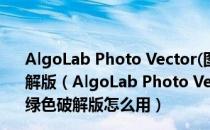 AlgoLab Photo Vector(图片矢量化工具)V1.98.88 绿色破解版（AlgoLab Photo Vector(图片矢量化工具)V1.98.88 绿色破解版怎么用）