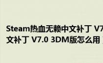 Steam热血无赖中文补丁 V7.0 3DM版（Steam热血无赖中文补丁 V7.0 3DM版怎么用）