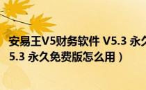 安易王V5财务软件 V5.3 永久免费版（安易王V5财务软件 V5.3 永久免费版怎么用）