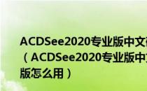 ACDSee2020专业版中文破解版 32/64位 免许可证密钥版（ACDSee2020专业版中文破解版 32/64位 免许可证密钥版怎么用）