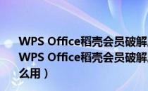 WPS Office稻壳会员破解版 V11.1.0.10495 免费完整版（WPS Office稻壳会员破解版 V11.1.0.10495 免费完整版怎么用）