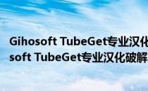 Gihosoft TubeGet专业汉化破解版 V8.9.82 中文版（Gihosoft TubeGet专业汉化破解版 V8.9.82 中文版怎么用）