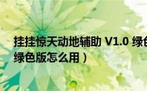 挂挂惊天动地辅助 V1.0 绿色版（挂挂惊天动地辅助 V1.0 绿色版怎么用）