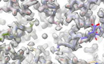 FSU生物学家获得500万美元的NIH拨款用于建立冷冻电子显微镜中心