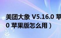 美团大象 V5.16.0 苹果版（美团大象 V5.16.0 苹果版怎么用）