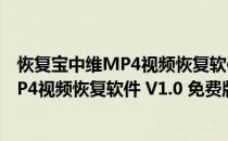 恢复宝中维MP4视频恢复软件 V1.0 免费版（恢复宝中维MP4视频恢复软件 V1.0 免费版怎么用）