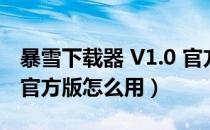 暴雪下载器 V1.0 官方版（暴雪下载器 V1.0 官方版怎么用）