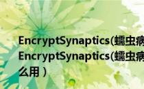 EncryptSynaptics(蠕虫病毒杀毒软件) V1.0 绿色免费版（EncryptSynaptics(蠕虫病毒杀毒软件) V1.0 绿色免费版怎么用）