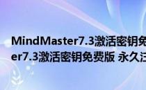 MindMaster7.3激活密钥免费版 永久注册版（MindMaster7.3激活密钥免费版 永久注册版怎么用）