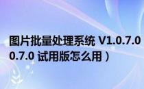 图片批量处理系统 V1.0.7.0 试用版（图片批量处理系统 V1.0.7.0 试用版怎么用）