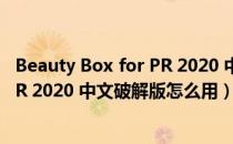 Beauty Box for PR 2020 中文破解版（Beauty Box for PR 2020 中文破解版怎么用）