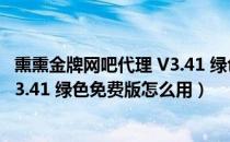 熏熏金牌网吧代理 V3.41 绿色免费版（熏熏金牌网吧代理 V3.41 绿色免费版怎么用）