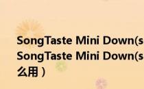 SongTaste Mini Down(songtaste下载器) V2.0 绿色版（SongTaste Mini Down(songtaste下载器) V2.0 绿色版怎么用）