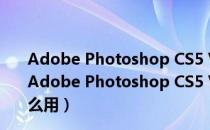 Adobe Photoshop CS5 V12.0.2 64位 中文绿色破解版（Adobe Photoshop CS5 V12.0.2 64位 中文绿色破解版怎么用）