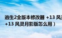 逃生2全版本修改器 +13 风灵月影版（逃生2全版本修改器 +13 风灵月影版怎么用）