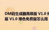 DM码生成器高级版 V1.0 绿色免费版（DM码生成器高级版 V1.0 绿色免费版怎么用）