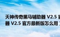 天神传奇黑马辅助器 V2.5 官方最新版（天神传奇黑马辅助器 V2.5 官方最新版怎么用）