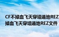 CF不掉血飞天穿墙遁地REZ文件 V2.10 绿色免费版（CF不掉血飞天穿墙遁地REZ文件 V2.10 绿色免费版怎么用）