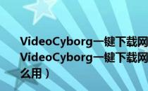 VideoCyborg一键下载网页所有视频和音乐工具 网页版（VideoCyborg一键下载网页所有视频和音乐工具 网页版怎么用）