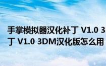 手掌模拟器汉化补丁 V1.0 3DM汉化版（手掌模拟器汉化补丁 V1.0 3DM汉化版怎么用）