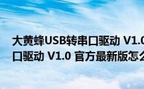 大黄蜂USB转串口驱动 V1.0 官方最新版（大黄蜂USB转串口驱动 V1.0 官方最新版怎么用）