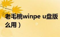 老毛桃winpe u盘版（老毛桃winpe u盘版怎么用）