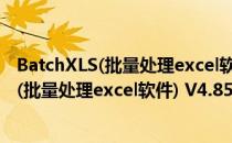 BatchXLS(批量处理excel软件) V4.85 官方版（BatchXLS(批量处理excel软件) V4.85 官方版怎么用）