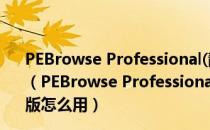 PEBrowse Professional(静态反汇编软件) V10.1.4 免费版（PEBrowse Professional(静态反汇编软件) V10.1.4 免费版怎么用）