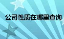 公司性质在哪里查询（怎样查询公司性质）